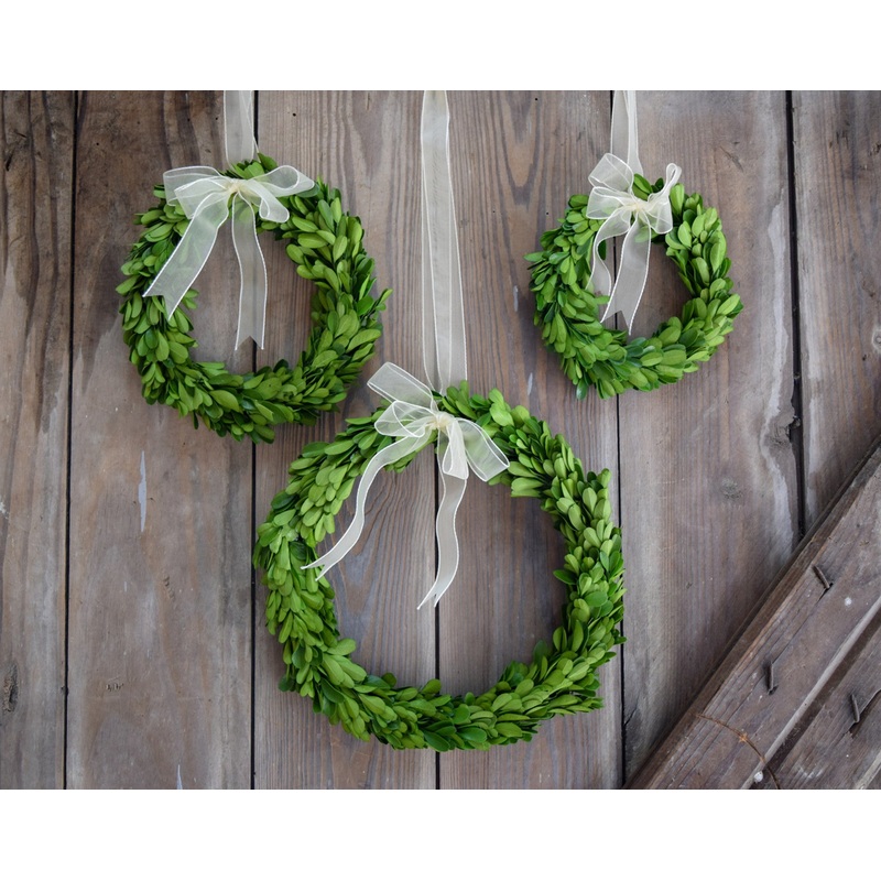 3-Piece Round Boxwood Wreath with Ribbon