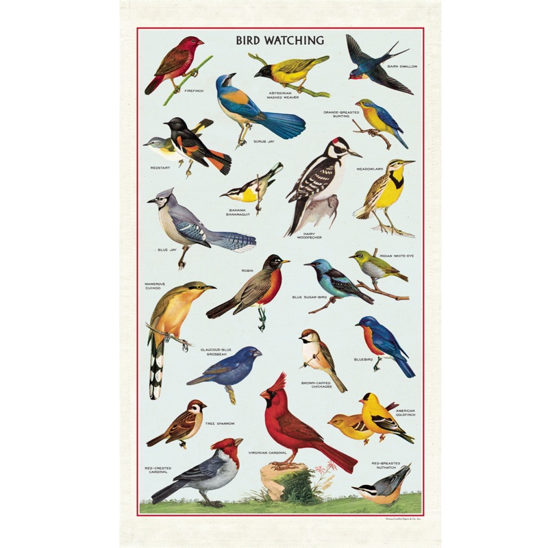 Bird Watching Tea Towel