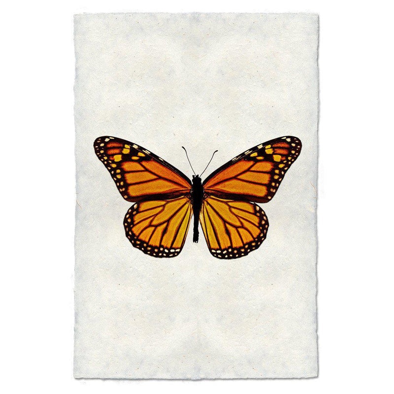 Butterfly #13 Art Print