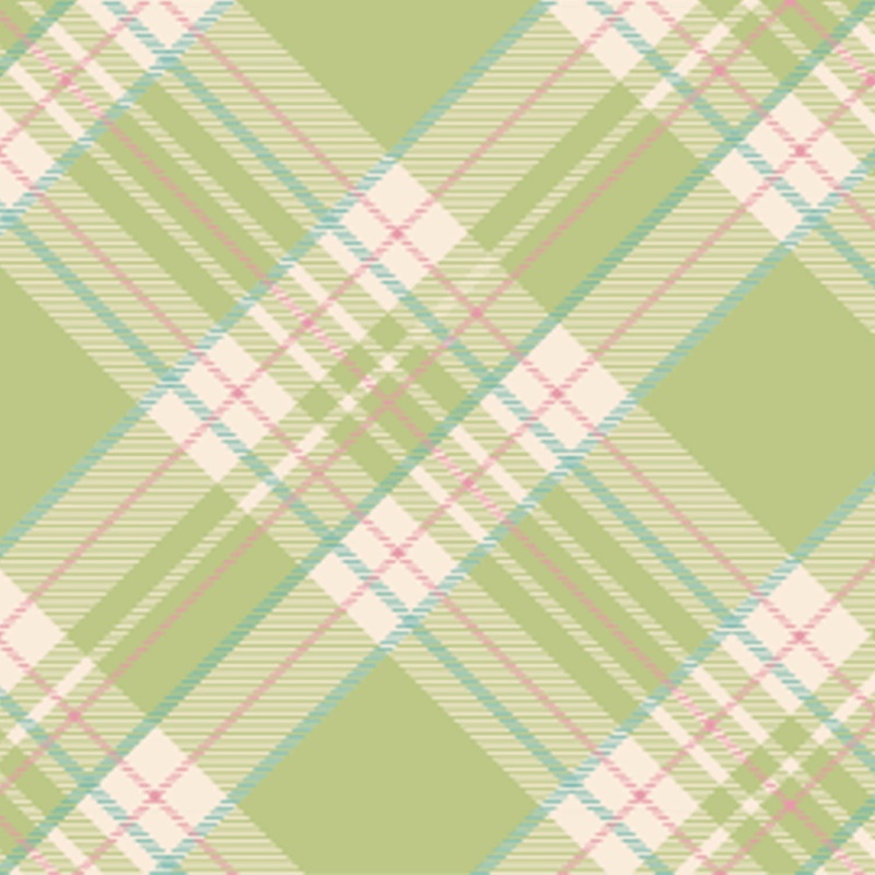 Bright Green Plaid Cocktail Napkin