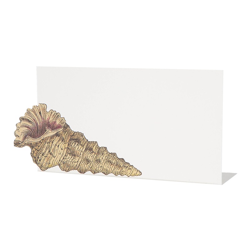Shell Place Card