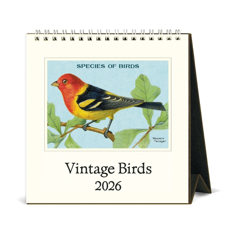 2026 Birds Desk Calendar