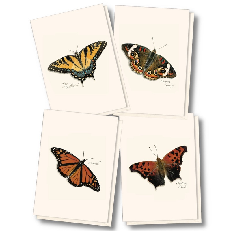 Butterfly Boxed Set of Cards