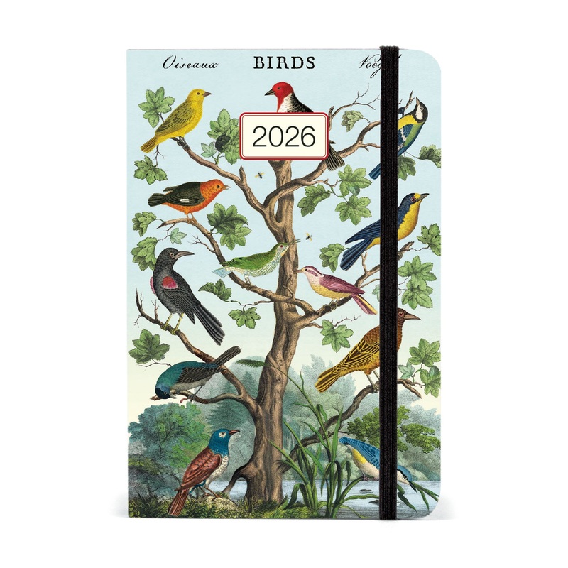 2026 Birds Weekly Planner