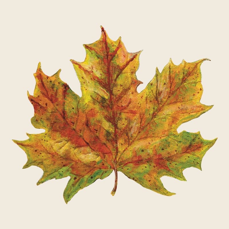 Fall Foliage Cocktail Napkins