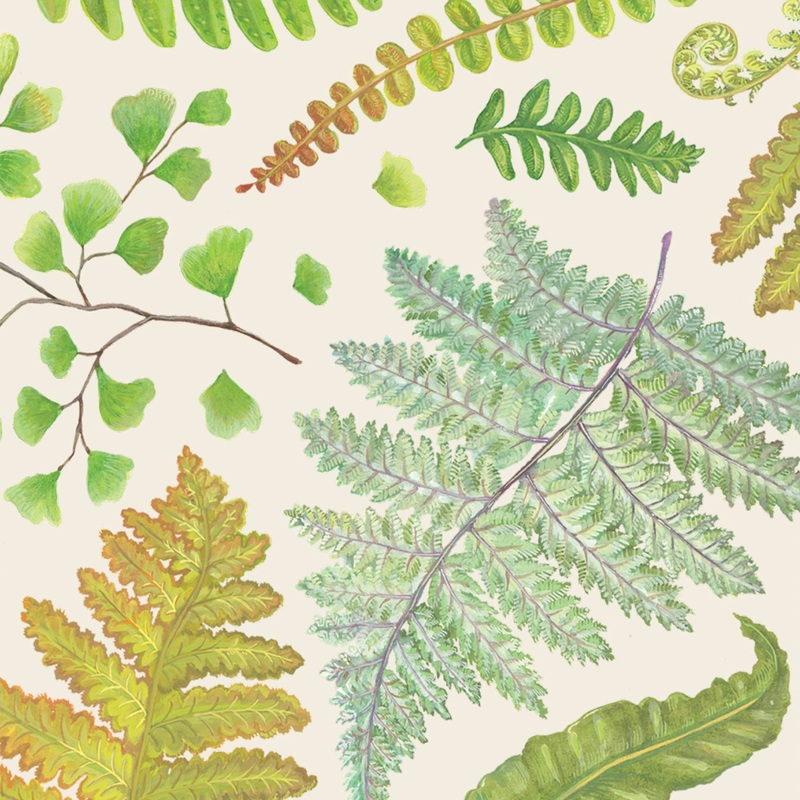 Fern Cocktail Napkins