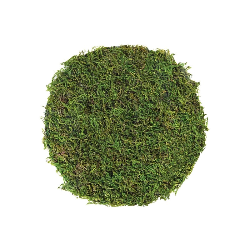 Mossy Table Setting Placemat