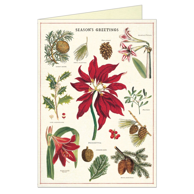Botanica Christmas Boxed Set of 10 Notecards