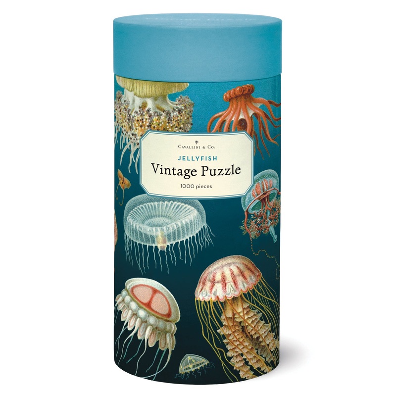 Jellyfish Puzzle