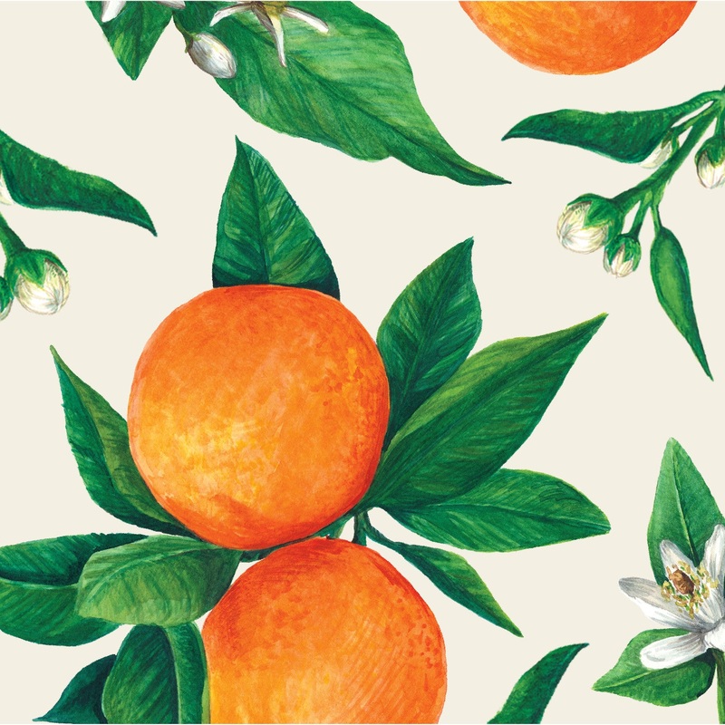 Orange Orchard Cocktail Napkins