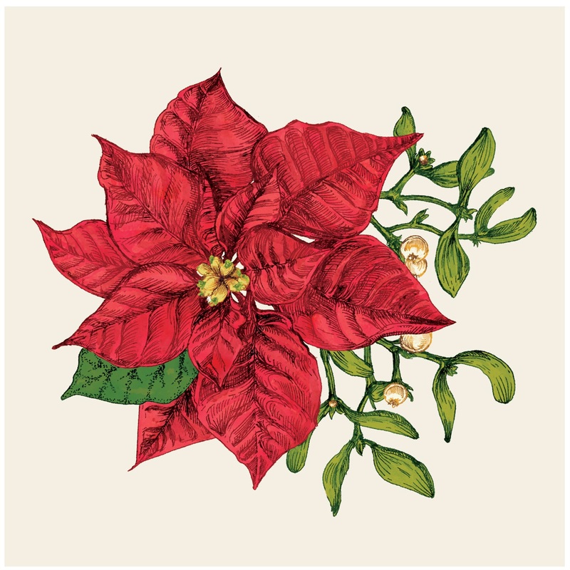 Poinsettia Cocktail Napkins