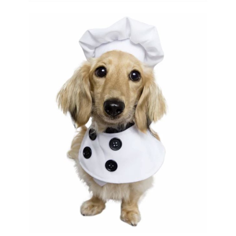 Chef Hat and Collar Pet Costume