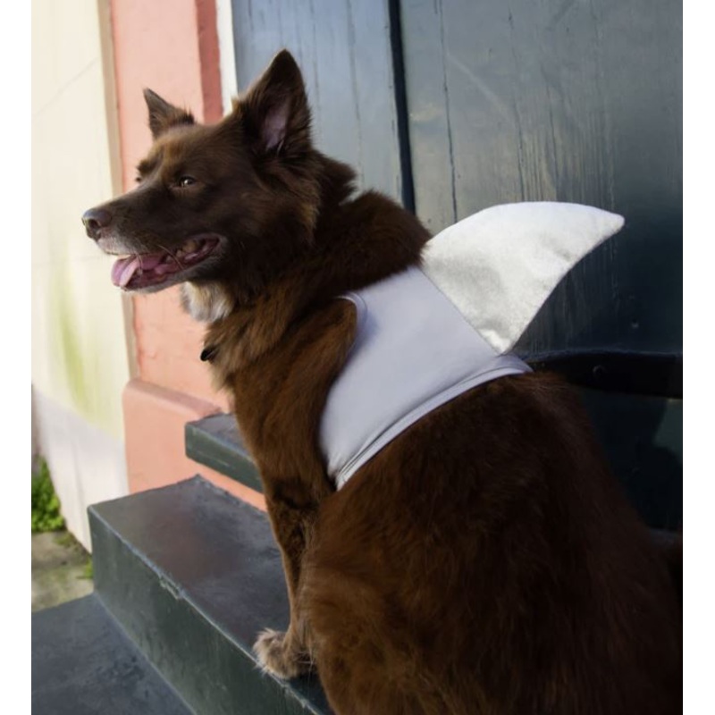 Shark Pet Costume|S/M|M/L