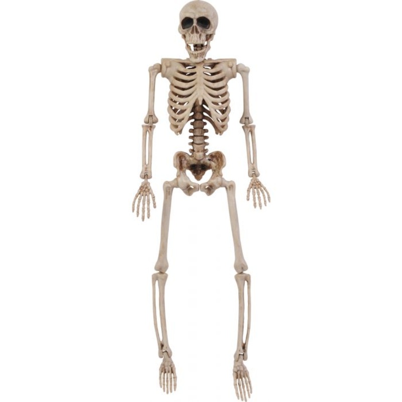 14 Poseable Skeleton