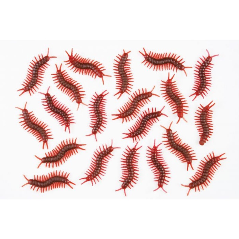 Bag of 20 Centipedes