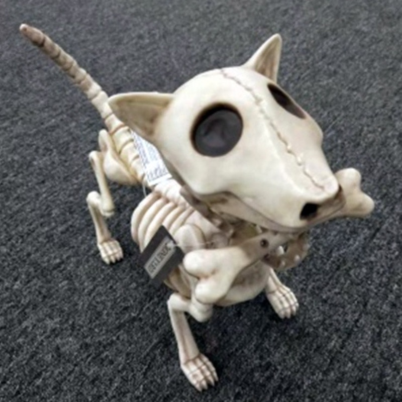 10.5 Dog Skeleton