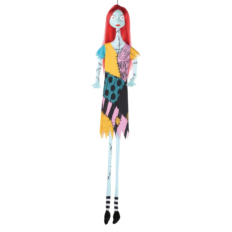 16.5 Sally Character