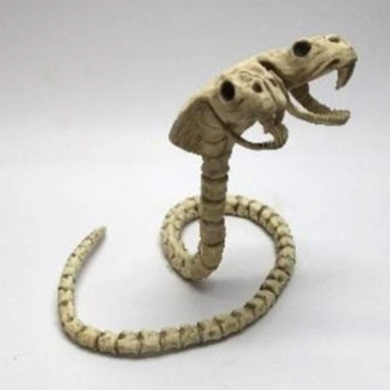 41 Two Headed Cobra Skeleton