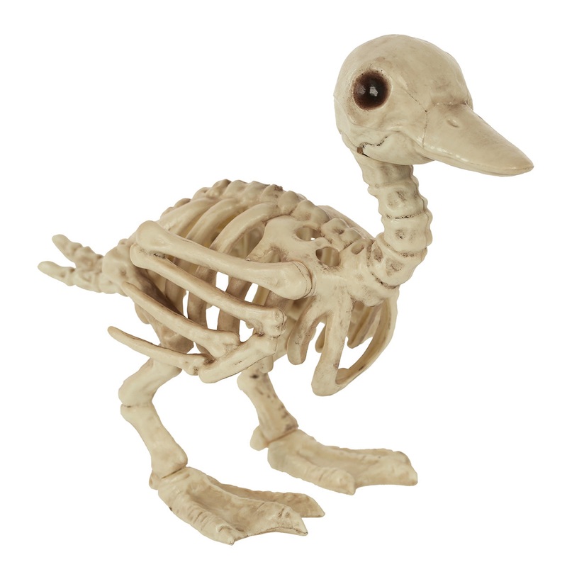 5.75 Duck Skeleton