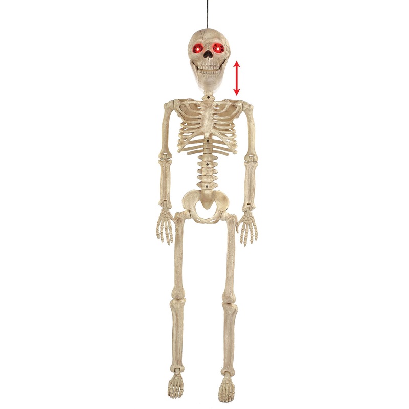 Animated 36 Skeleton