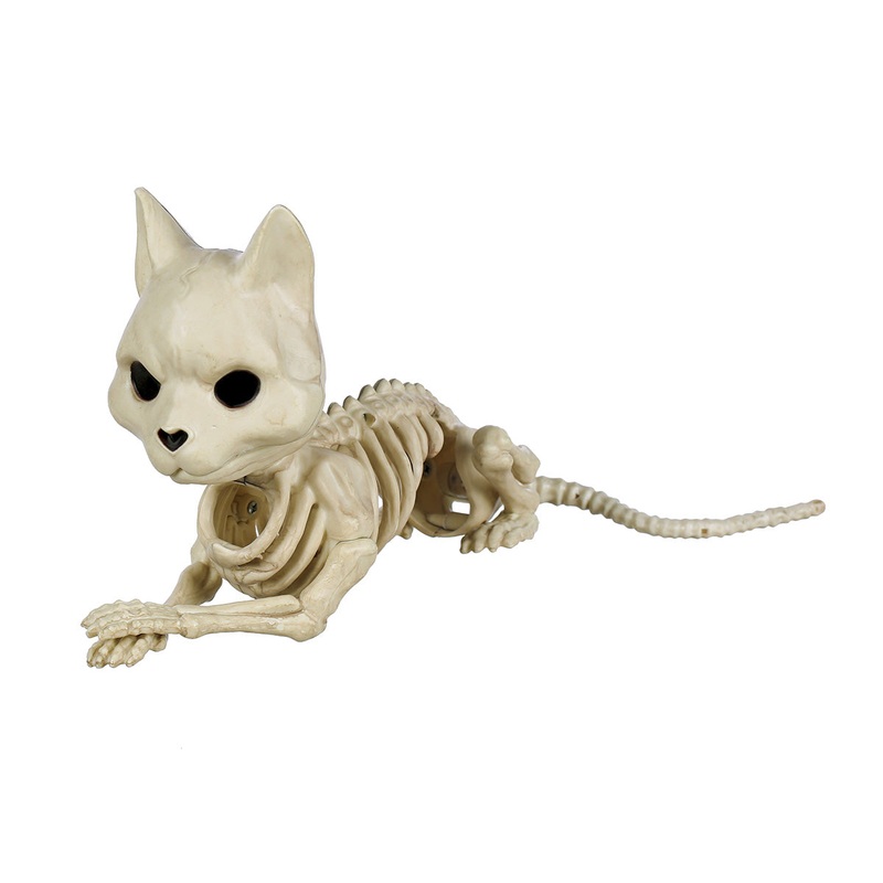 Cute Laying Cat Skeleton 5.25