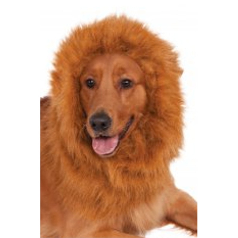 DLX. Lion’s Mane