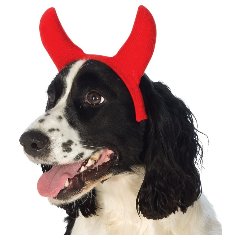 Dog Devil Horns|S/M|M/L