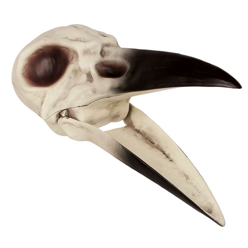 Raven Skull 8.75