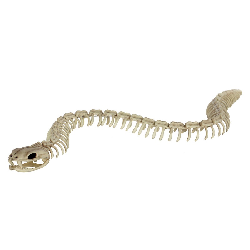 Skeleton Snake 36
