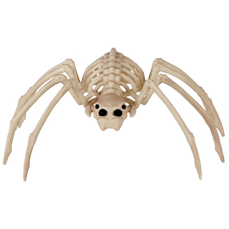 Spine Chilling Spider Bonez 20