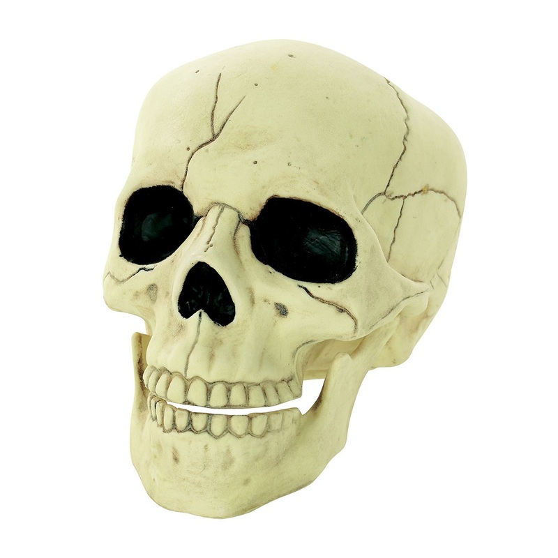 Table Top Glow in the Dark Skull