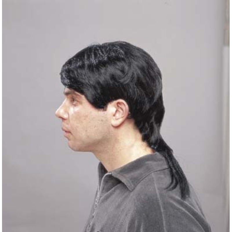 Veggimullet Wig Brown