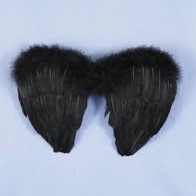 14 Mini Black Feather Wings