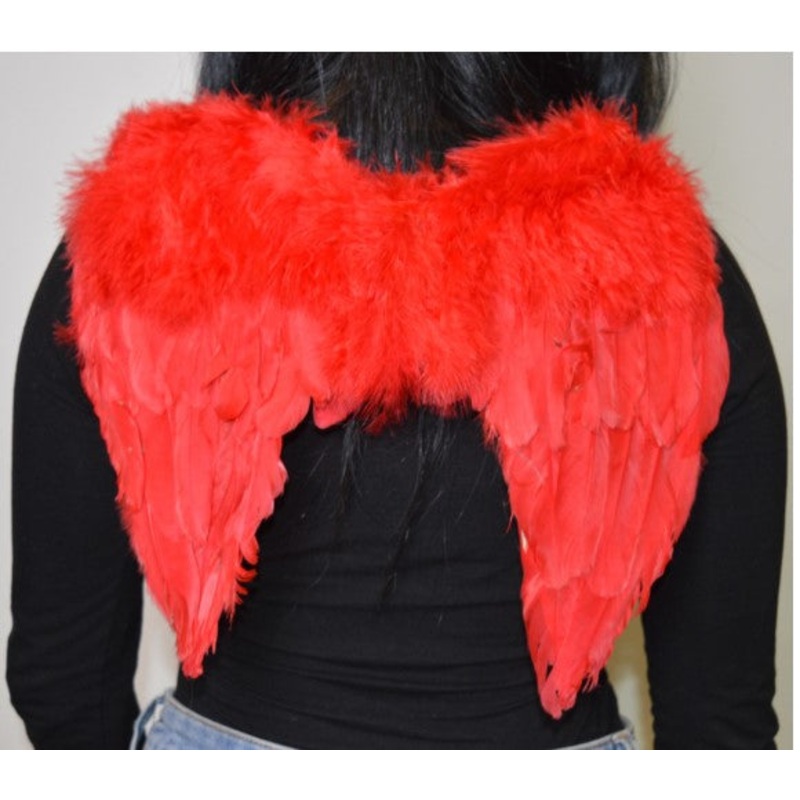 14 Mini Red Feather Wings