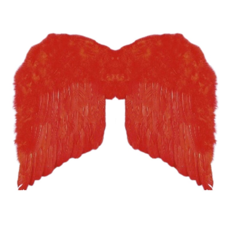 24 Red Feather Wings