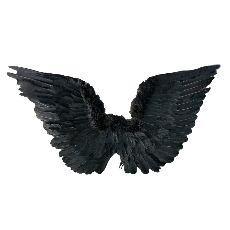 Black Feather Upwings
