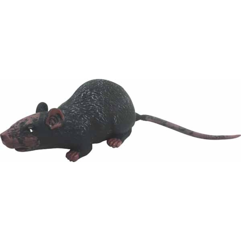 10 Latex Rat
