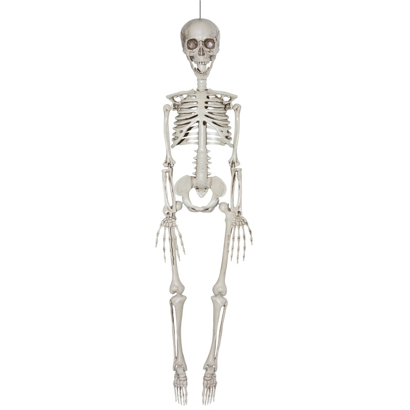 20 Realistic Skeleton