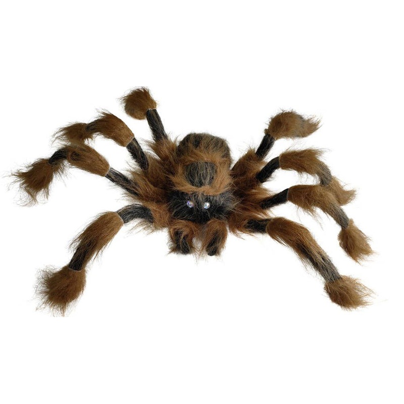 36 Brown Spider