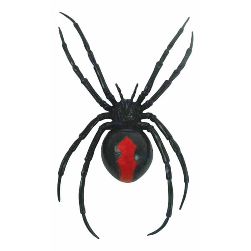 4.75 Magnetic Black Widow Spider