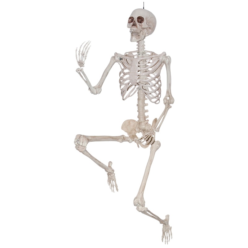 60 Posable Skeleton
