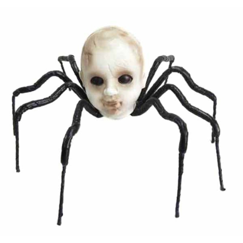 Baby Head Spider