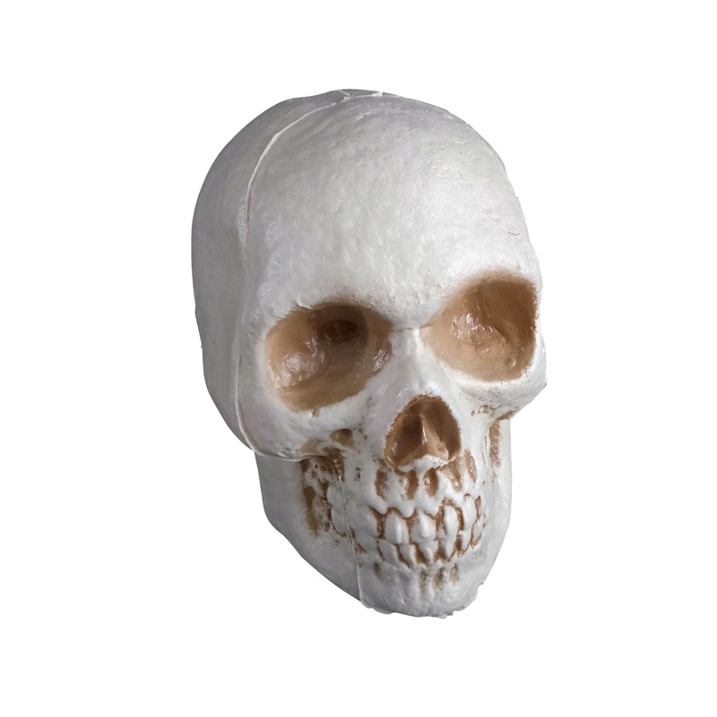 Economy Skull