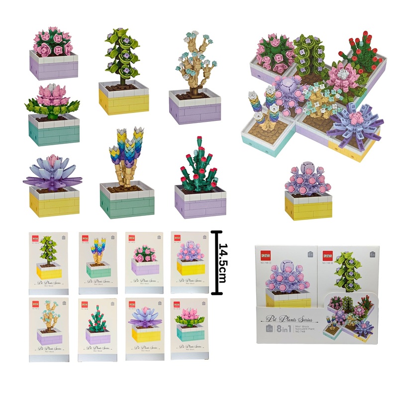 Building Blocks Succulent Plants Series Age 6+ VRT