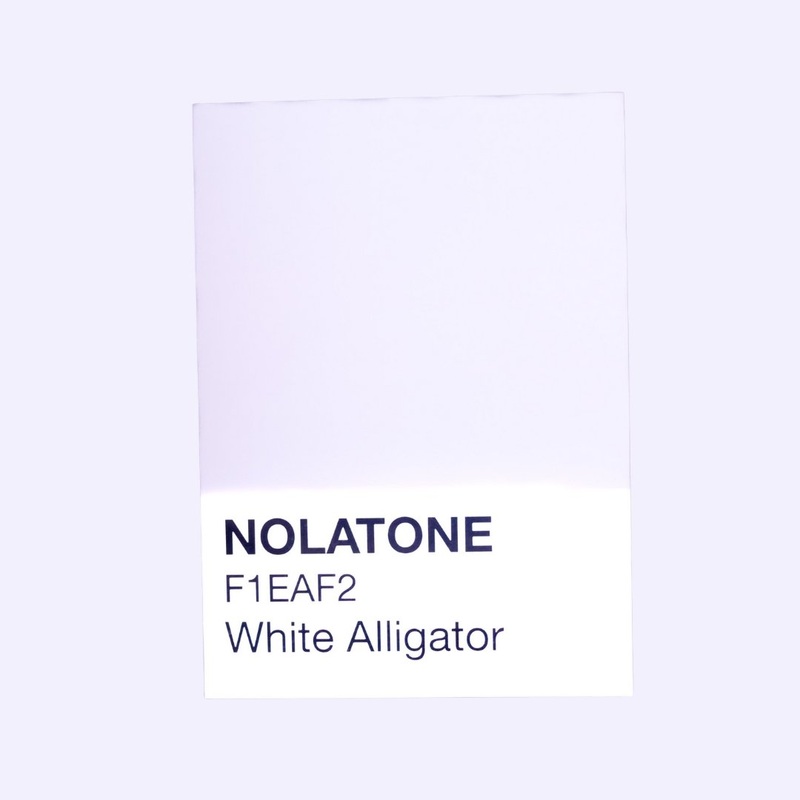 Nolatones Postcard – White Alligator