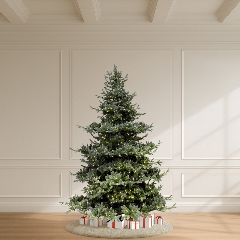 Jackson Fir Tree, 6.5′
