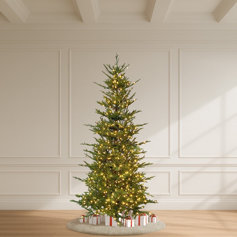 Vail Spruce Tree, 9.5′, Slim