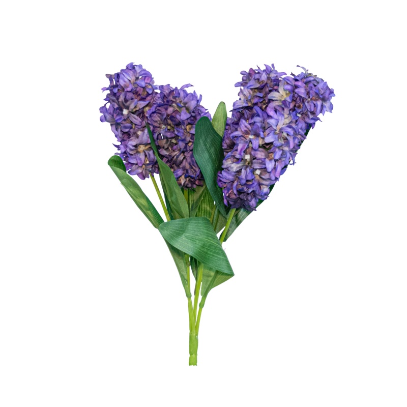 Hyacinth Bush x5, Purple, 18