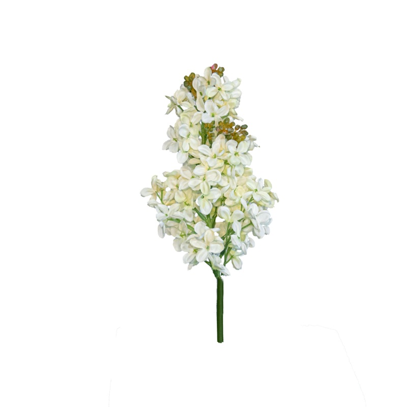 Lilac Spray, Cream, 19