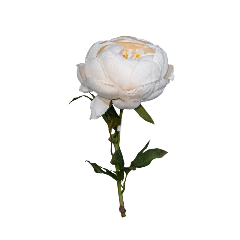 Peony Spray, Ivory, 24